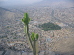 Blick vom Cerro San Christobal