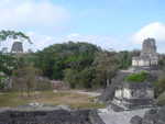 Tikal Akropolis