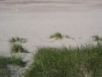 vista de la playa desde las dunas