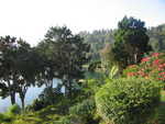Bratan-See in Candi Kuning