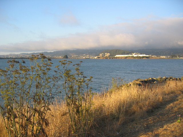 Berkeley Blick auf die Bay