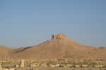 Palmyra mit Burg