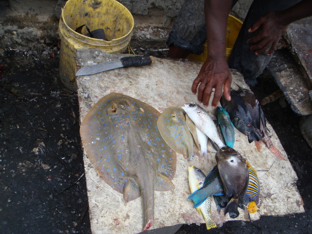 Fischmarkt auf Zanzibar