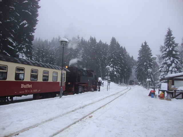 Brockenbahn in Schierke