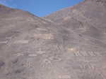 Atacama geolgifos