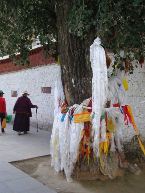 Gebetsbaum unterhalb vom Potala Palast