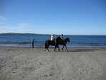 am Strand von Ancud