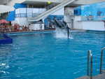 Im Delphinarium von Hotel Jalta