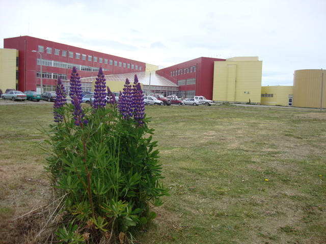 Punta Arenas - Universidad de Magallanes