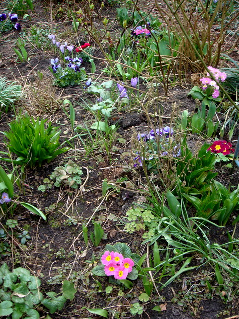 Jardin primavera 2012