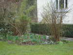 mi jardin 2012 marzo