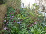 mi jardin en el abril 2012
