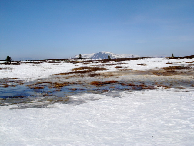 Storefjell bei Schneeschmelze