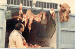 Kamelfleischladen in Kairouan