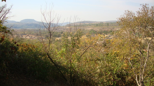 Blick auf Great Zimbabwe