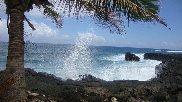 blow hole