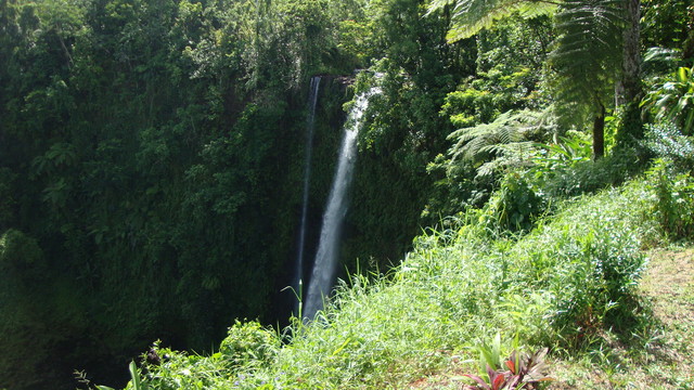Upolu Fuipisia Wasserfall