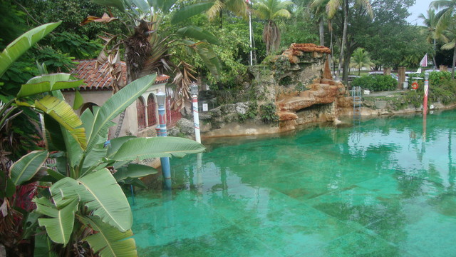 Miami Venetian Pool