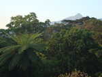 Tanna Blick vom Baumhaus auf den Mount Yasur