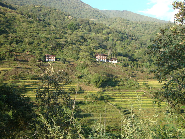 Bergregion nahe Wangdue
