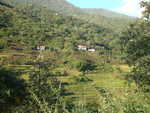 Bergregion nahe Wangdue