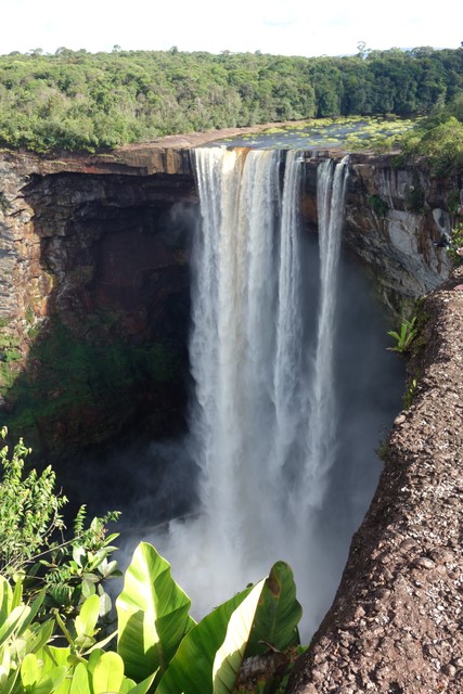 Kaieteur Wasserfall Guyana