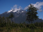 IMG_1272