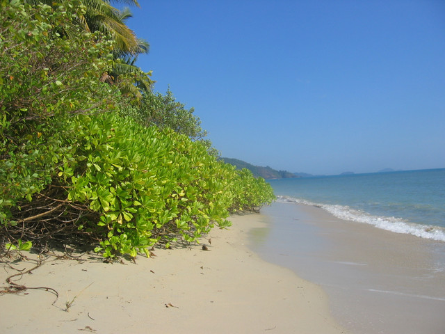 T Koh Chang playa