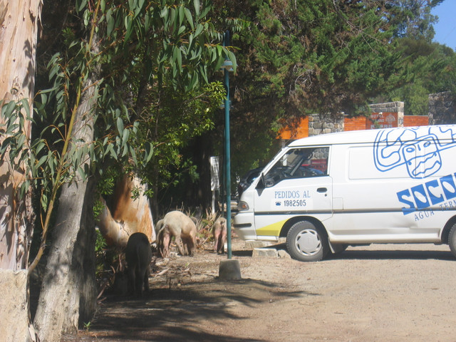 bei Termas Soco