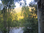 IMG 3265