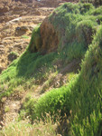 IMG 8861