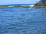 IMG 8864