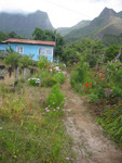 IMG 8918