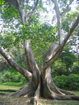 IMG 0038