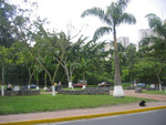 IMG 9811