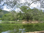 IMG 9851