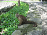 IMG 9855